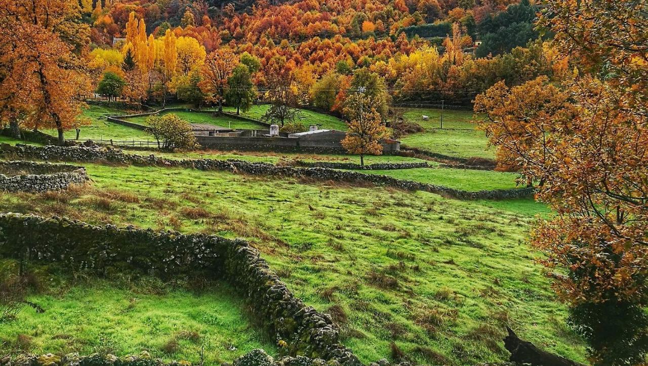 Aroma De Primavera En Casas Rurales Acebuche Casas del Monte Exterior foto